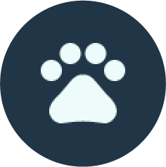 Dogs Allowed Icon